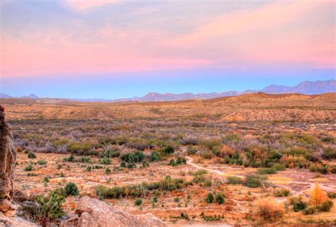 LANDSCAPE OF TEXAS Reviews .